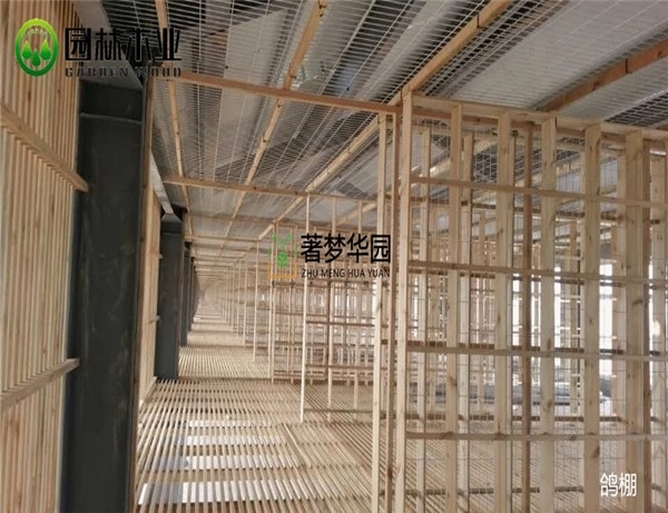 為何選擇現(xiàn)代木結構建筑