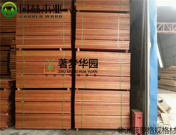 非洲菠蘿格這么受歡迎，它有什么優(yōu)點呢